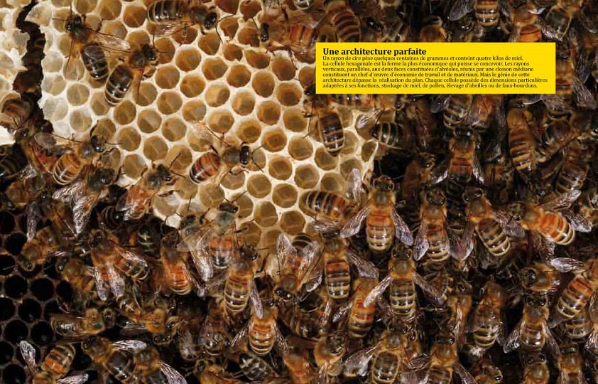 architecture parfaite